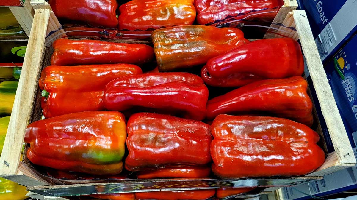 Peperoni - Calabria - 1,00 euro al chilogrammo